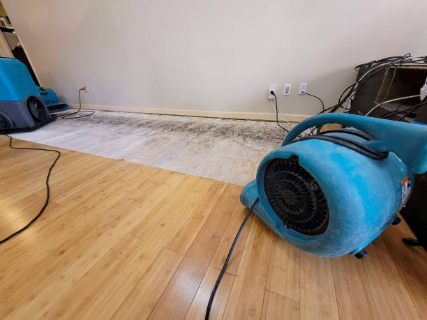 Professional Water Extraction technician working in Kennard, NE